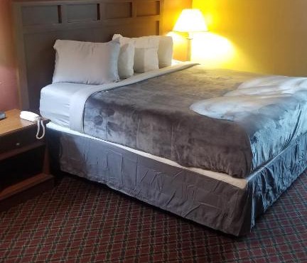 Hotel King WI-FI Hotel 101 Booking