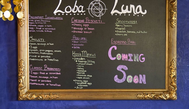 Loba Luna Bed & Breakfast -Diosa Verde-Charming Albuquerque B&B - Diosa Verde