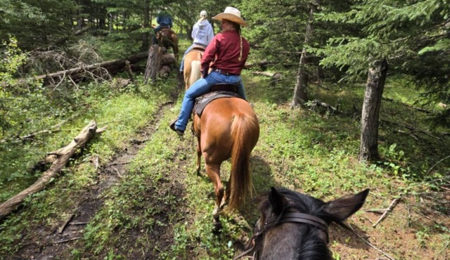 Located right in the middle of The Black Hills