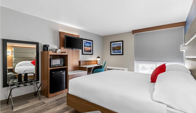 Modern Room Deluxe One Queen Bed Pet Friendly Ideal for Both Work & Play