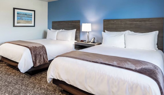 Modern Room with Full Kitchen and Pet-Friendly - Easy Access to Corn Palace