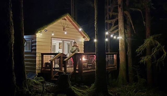 Moss Top Cabin-off grid living moss roof cabin in the woods