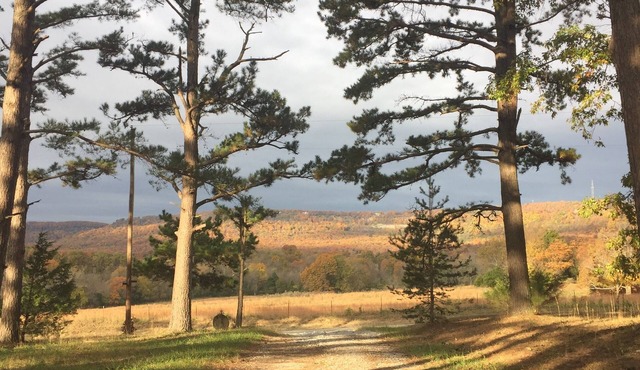 Ozark Pines: Ozarks Country Getaway Near Branson & the Buffalo River
