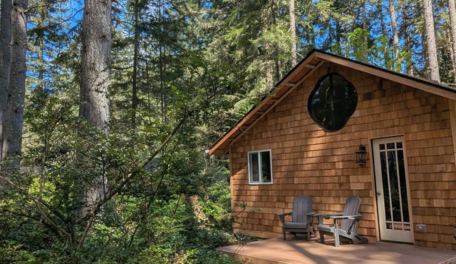Pinewood Cabin - Forest Retreat Near Langley