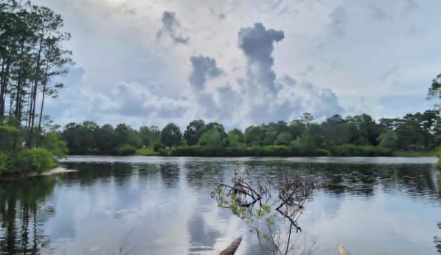 Private Lake Front House on Gulf Coast with Grill, Kayaks, Hammock, Porch Swing