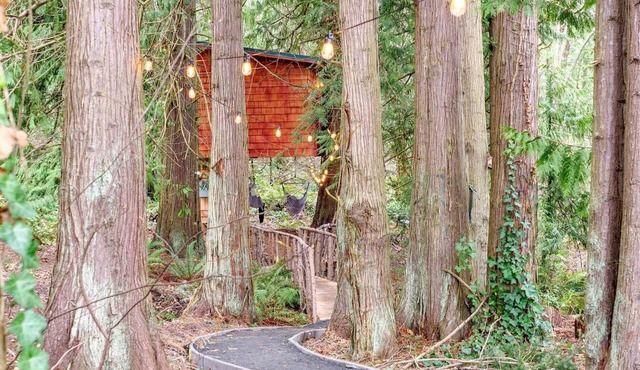 Relaxing Tree House in Sequim, Washington, Perfect for a Glamping Getaway to Olympic National Park