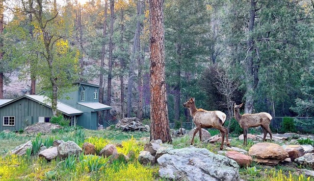 Riverside Hideaway: Peaceful Forest Cabin with Private River & Red Rock Views in Payson