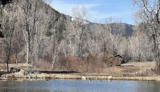 Romantic Cabin with Incredible Views, 5 miles to Durango on Lightner Creek