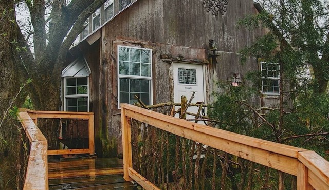 Romantic getaway in the trees. Enjoy your stay in a majestic oak treehouse