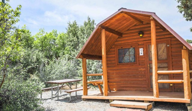 Rustic Cabin (Sleeps 2) - The Camping Cabin sleeps a maximum of 2. Bring your own linens.