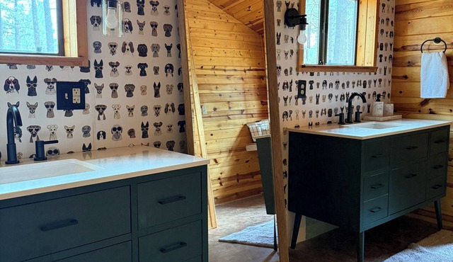 “Scout’s House” cabin on 2 acres Dog Friendly!