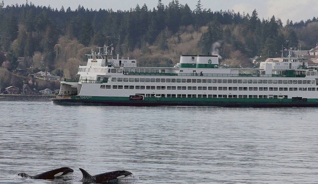 Seattle is a ferry ride away. Walk or Drive on and be in Seattle in 20 minutes