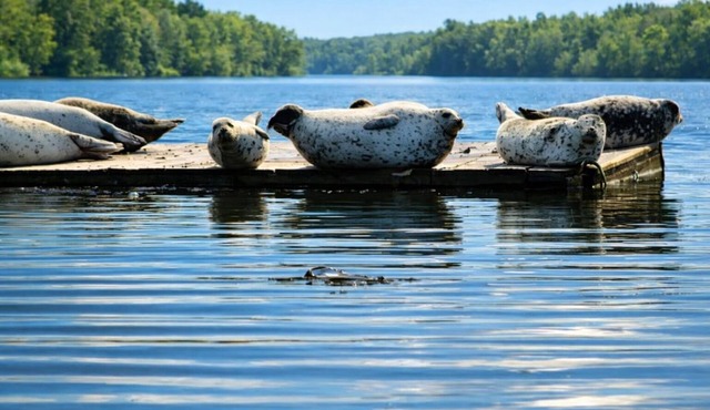So Close to the Shoreline, You’re Part of the Experience!