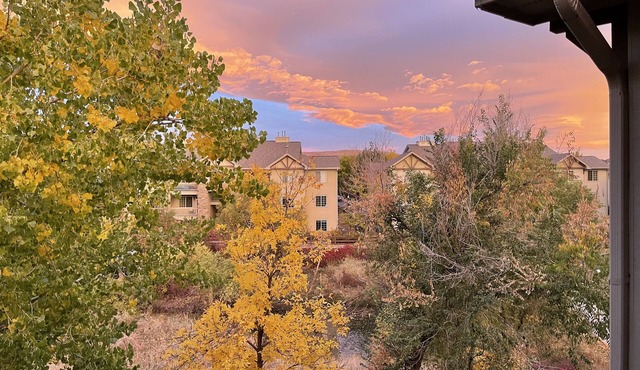 Spacious 3 bedroom condo plus garage minutes from mountains close to parks