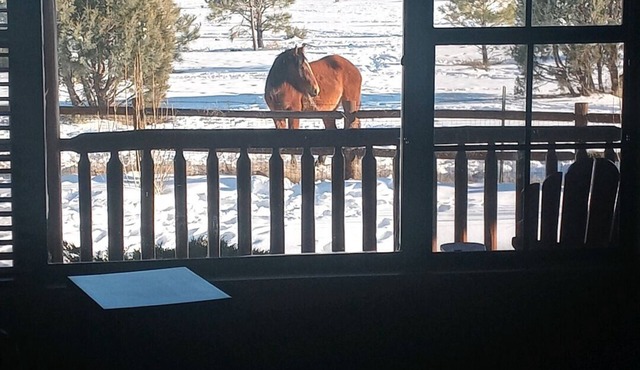 Spacious Cabin w/Wild Horses+National Forest+Dog Friendly+White Mountain Views