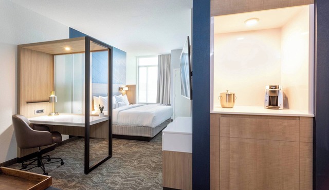 SpringHill Suites by Marriott Minneapolis Maple Grove/Arbor Lakes in Maple Grove