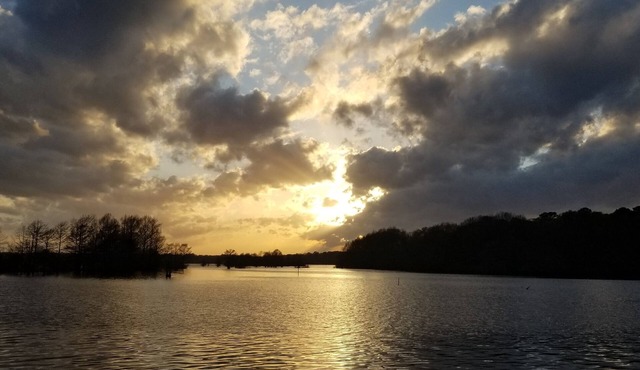 Still Waters