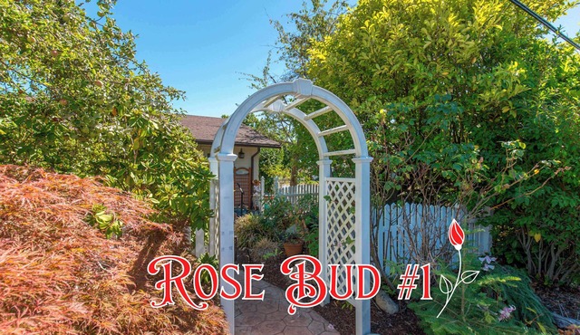 Stylish 5-BR, Walk Downtown, 3 Private Units