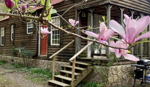 Sunny Brook - Sunny Brook Cabin, wooded, private with stream