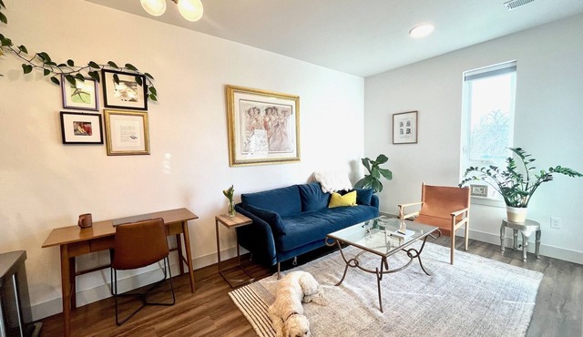 Sunny, Modern 1 BD 1 Bath