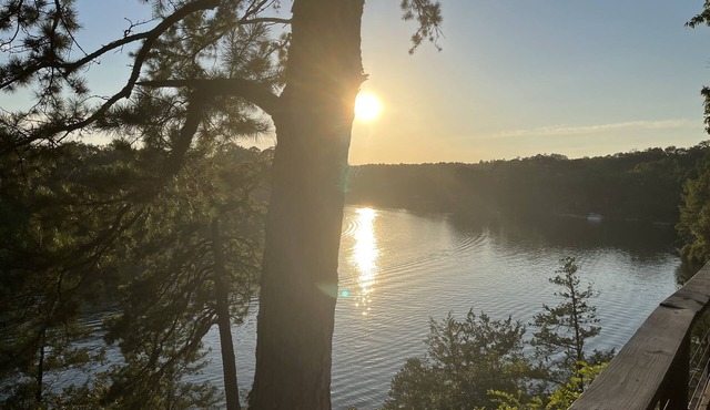 The Birch at Hamilton Cove ~ Cabin Thirteen ~ Pet Friendly