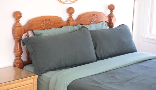 The Blue Cottage: charming 3-bedroom house in Lubbock, family-friendly