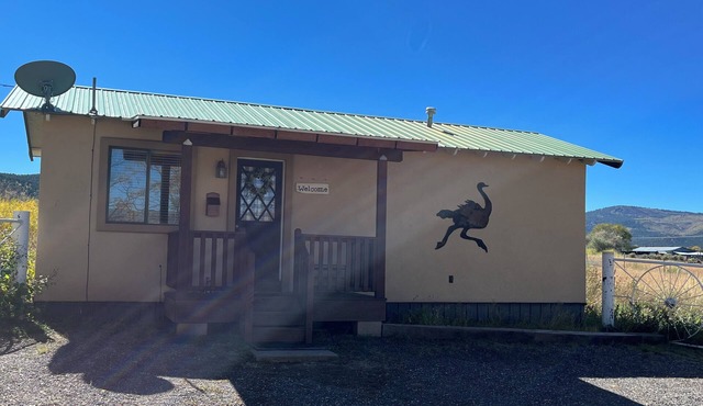 The Ostrich House! Cozy, comfortable and private.