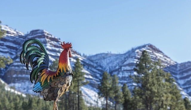 The Rustic Rooster Inn, Breathtaking Views, Between Downtown Durango & Purgatory