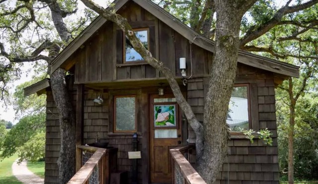 The Treehouse