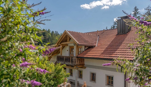 This 65 square meter, air-conditioned vacation apartment on a country estate on the Dreisesselberg in the Bavarian Forest is a perfect retreat. 2 bedrooms, 1 living room, 1 fully equipped kitchen and a bathroom with shower/WC ensure relaxation. The. in Breitenberg