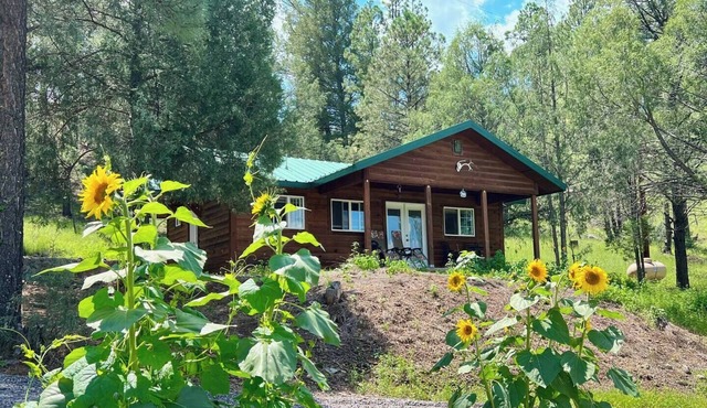 Tranquil escape nestled in the forest on a beautiful horse ranch.
