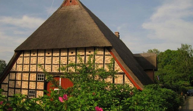 Vacation under thatch in Postfeld
