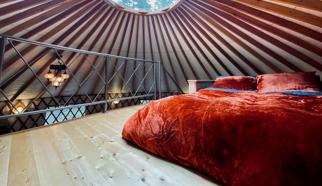 Vibrant and unique yurt - Welcome to Madrona Grove