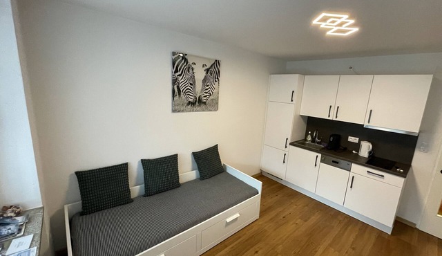 'Vidaoro' Studio Flat close to Ski Lift with Wi-Fi in Zell am See