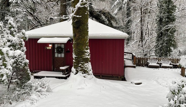 ‘Volcano Country’ Creek side Cottage in Doty