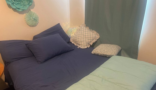 Wonderful apartment with AC in charming Lawrence