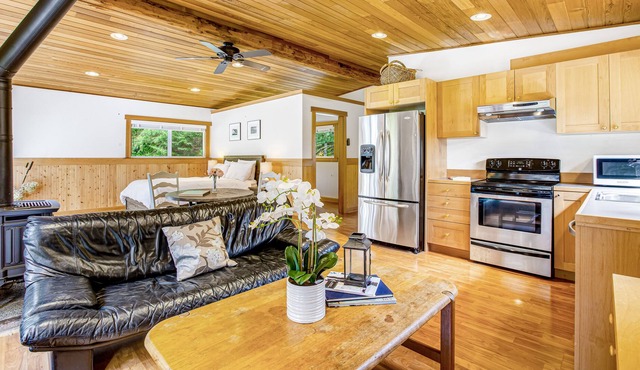 Woodsy studio with high-speed WiFi, gas fireplace, and shared grill