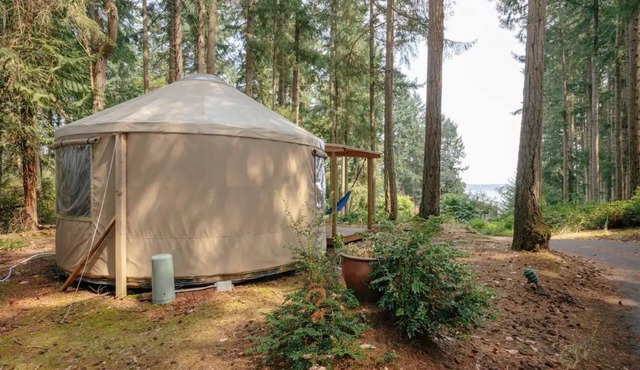Yurt in Forest with Puget Sound View - Dry Camping