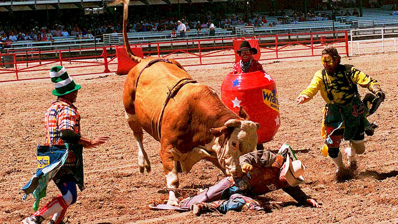 Photo of Others in Cheyenne