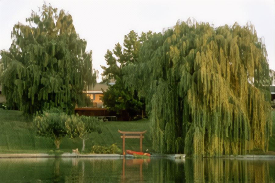 Photo of Outdoor in Moses Lake