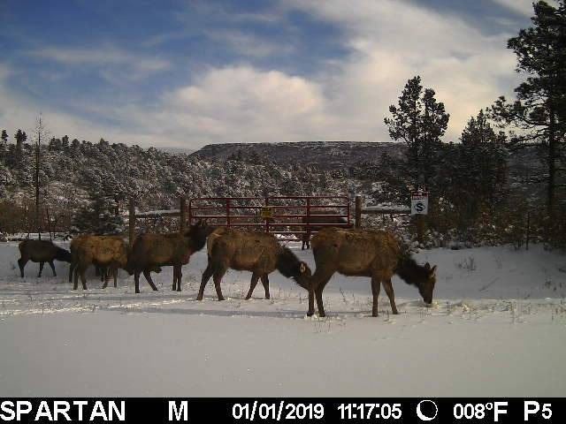 Photo of Others in Raton