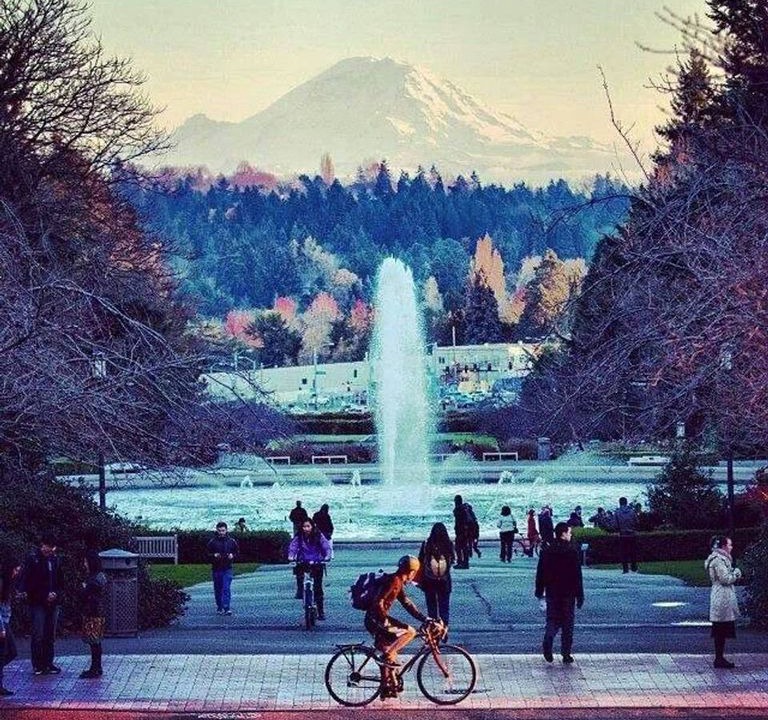 Photo of Human In Picture in Eastlake