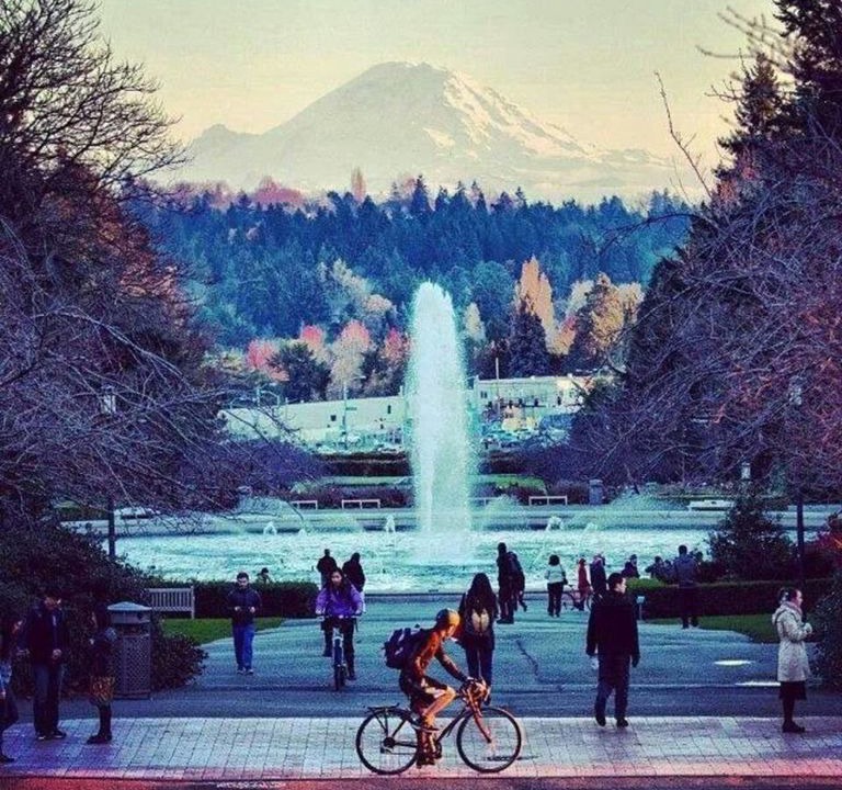 Photo of Human In Picture in Eastlake