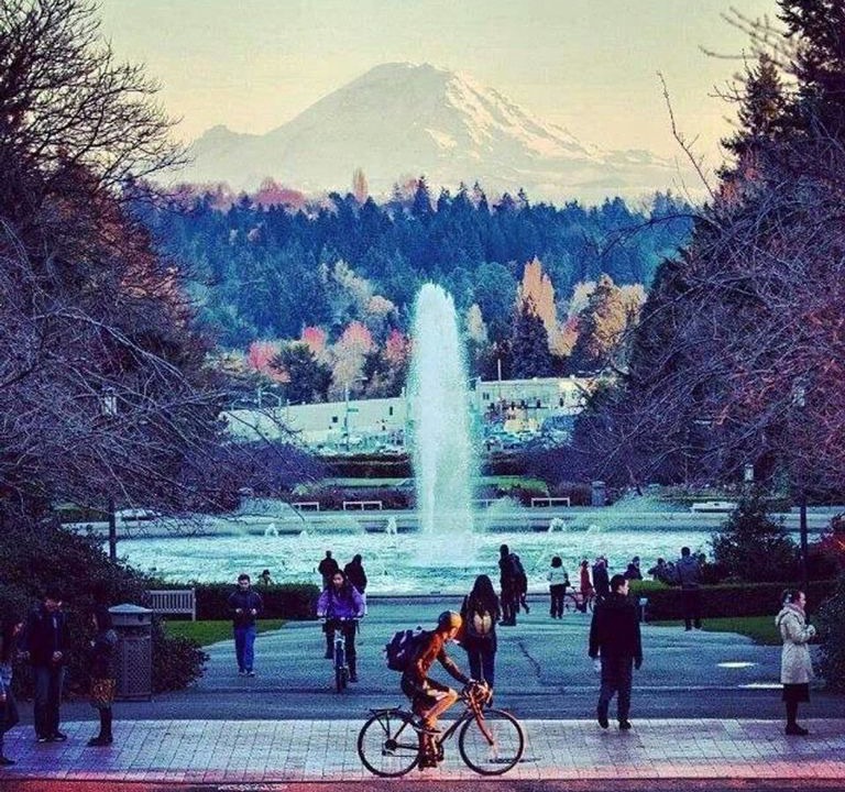Photo of Human In Picture in Eastlake