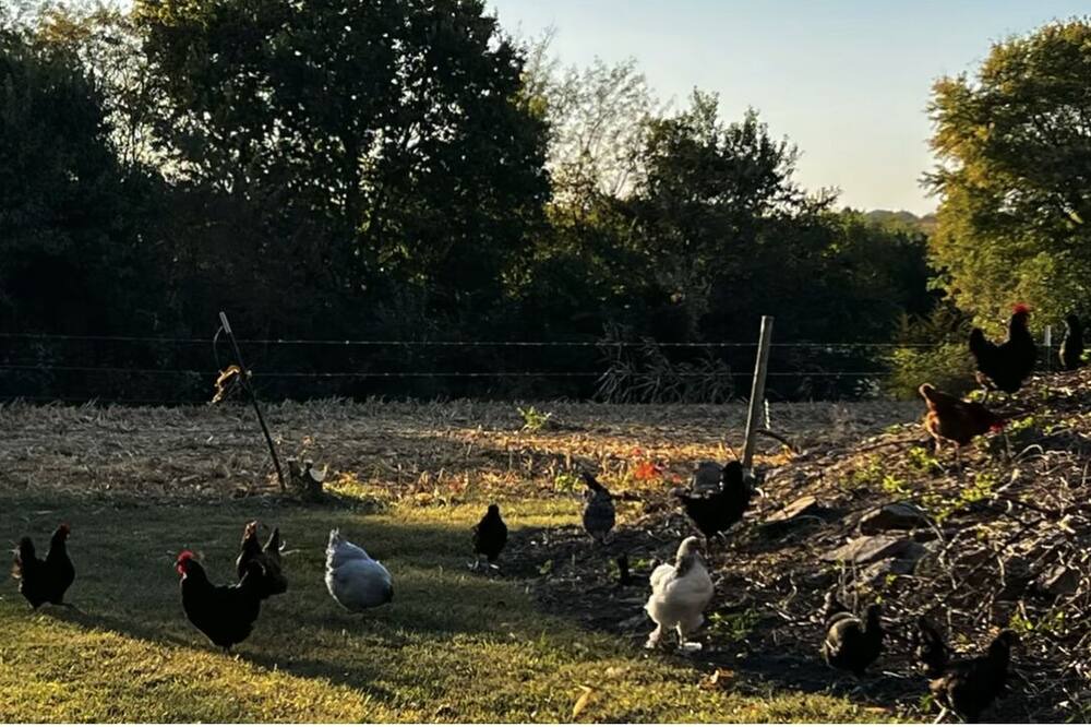 Photo of Others in Atchison Township