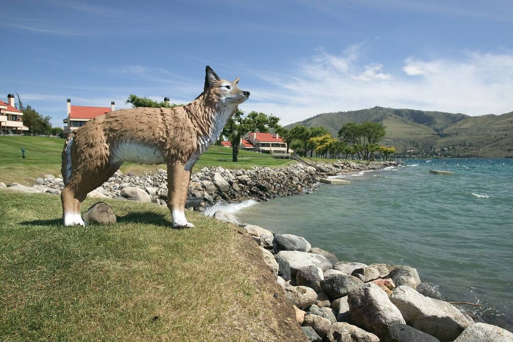 Photo of Outdoor in Chelan