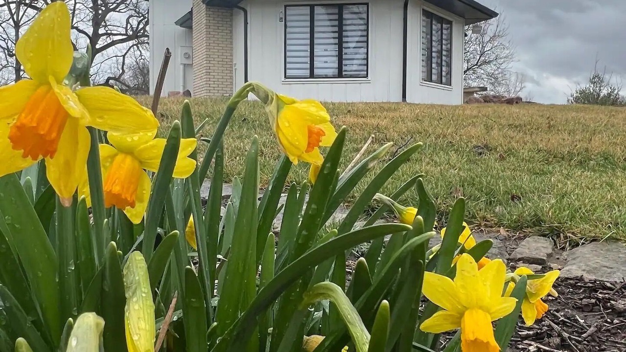 Photo of Outdoor in New Century