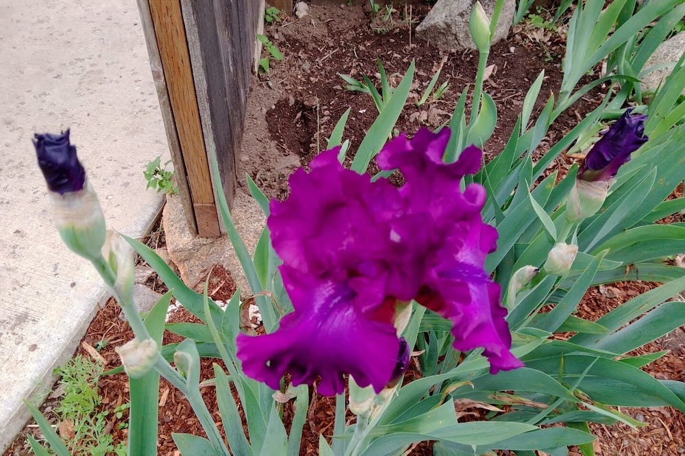 Photo of Outdoor in Elk