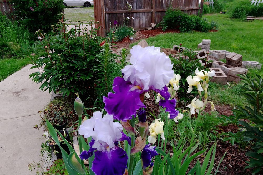 Photo of Outdoor in Elk