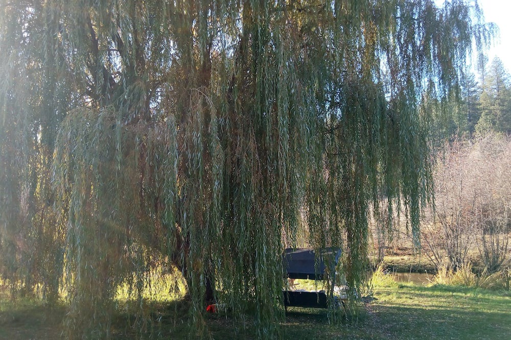 Photo of Outdoor in Elk